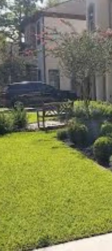 Affordable yard cleanup service experts serving Evanston, IL - Neill Landscaping Service