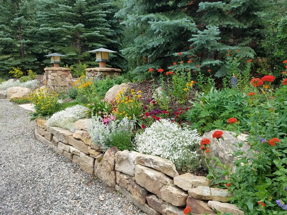 Reliable yard cleanup service experts serving Silverthorne, CO - Neils Lunceford