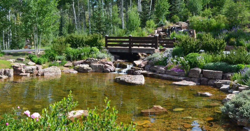 Expert yard cleanup service in Silverthorne, CO by Neils Lunceford