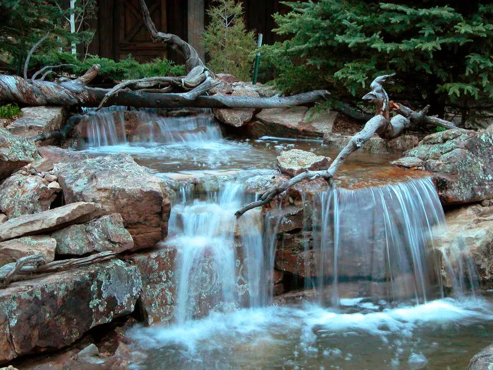 Expert yard maintenance in Silverthorne, CO by Neils Lunceford
