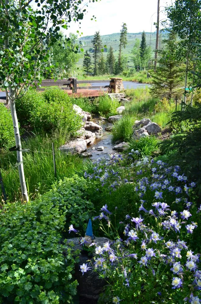 Reliable landscape design experts serving Silverthorne, CO - Neils Lunceford