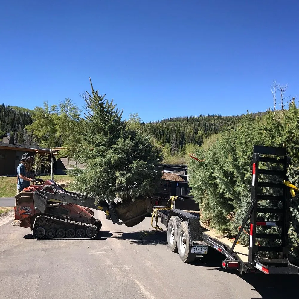 Affordable landscape installation in Silverthorne, CO - Neils Lunceford