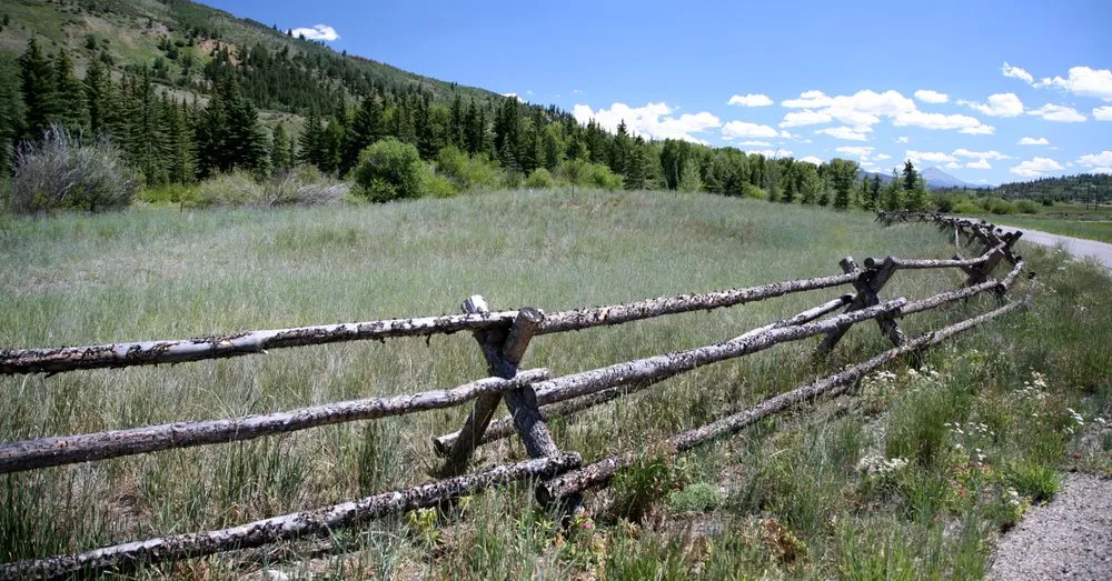 Professional landscaping services in Silverthorne, CO by Neils Lunceford