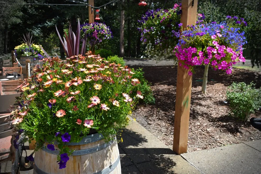 Expert yard cleanup service for outdoor upgrades across Tabernash, CO - Neils Lunceford