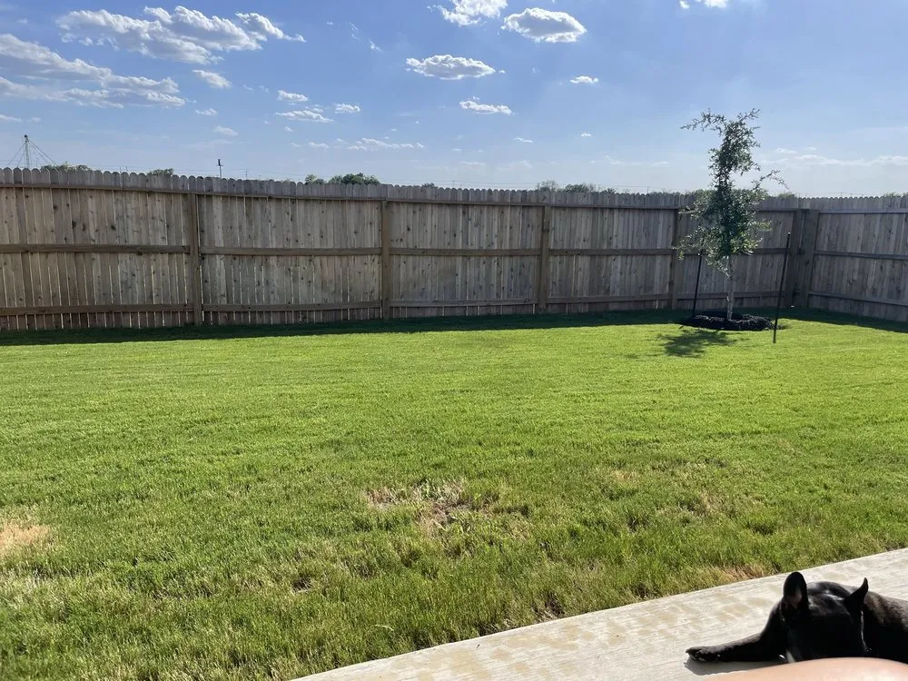 Trusted outdoor landscaping in Austin, TX by Neira