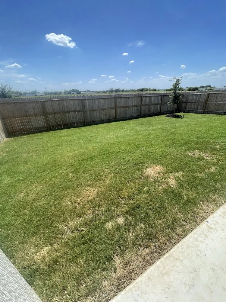 Local garden landscaping in Austin, TX by Neira