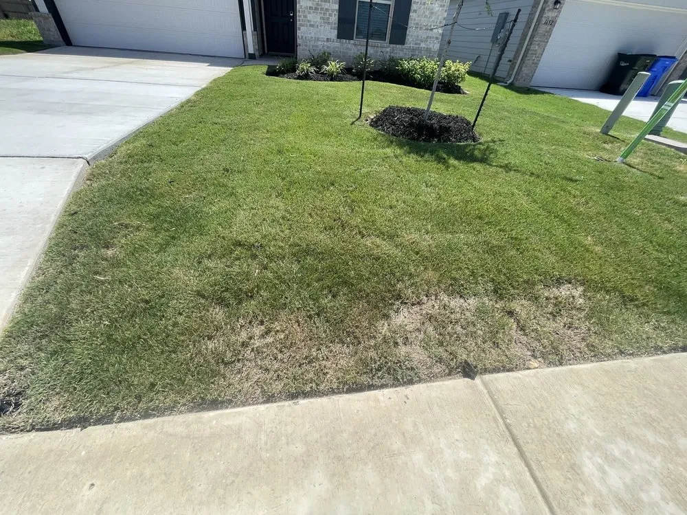 Professional landscape design for homes in Austin, TX by Neira