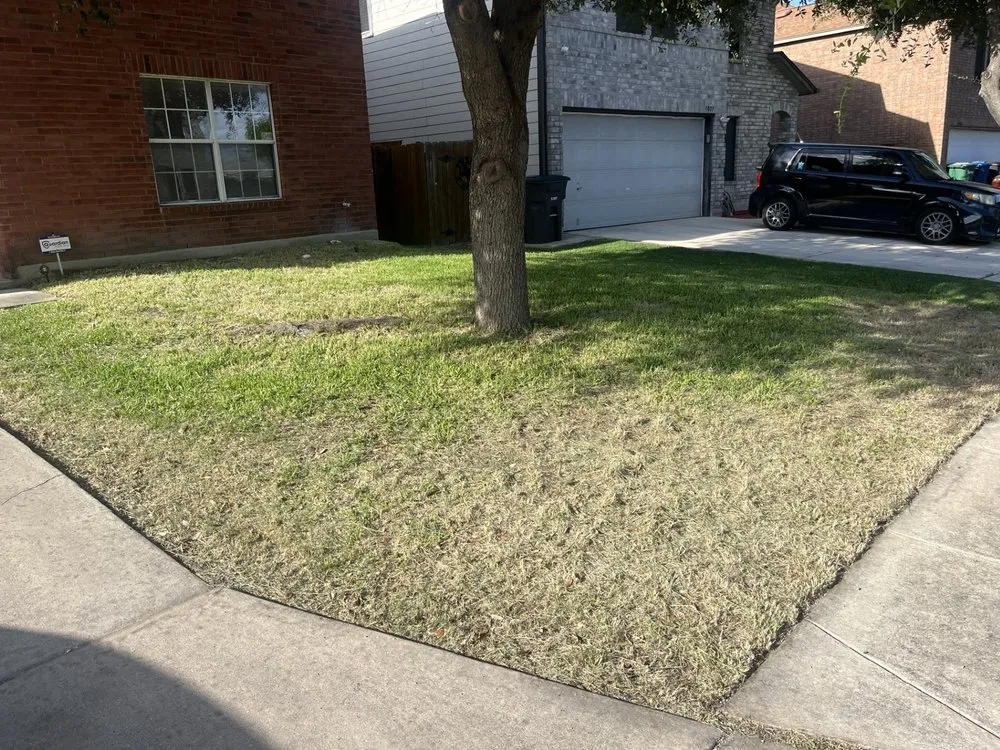 Affordable lawn mowing service for beautiful yards across Austin, TX - Neira