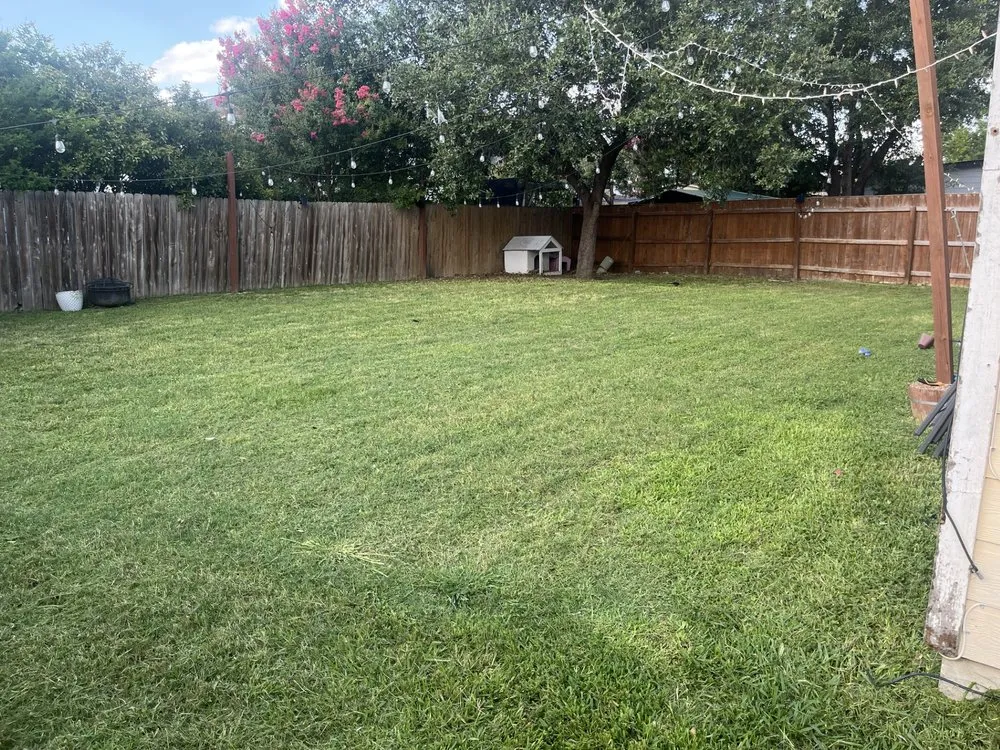 Reliable garden landscaping experts serving Austin, TX - Neira