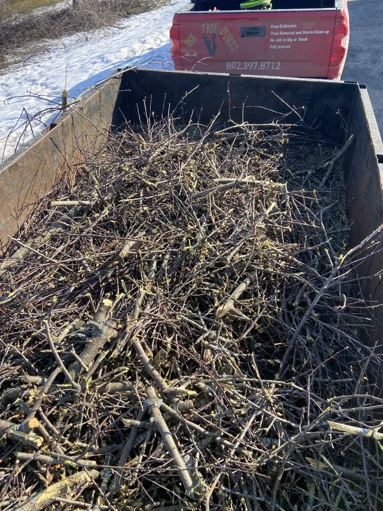 Reliable yard maintenance experts serving Orleans, VT - NEK Tree Workz
