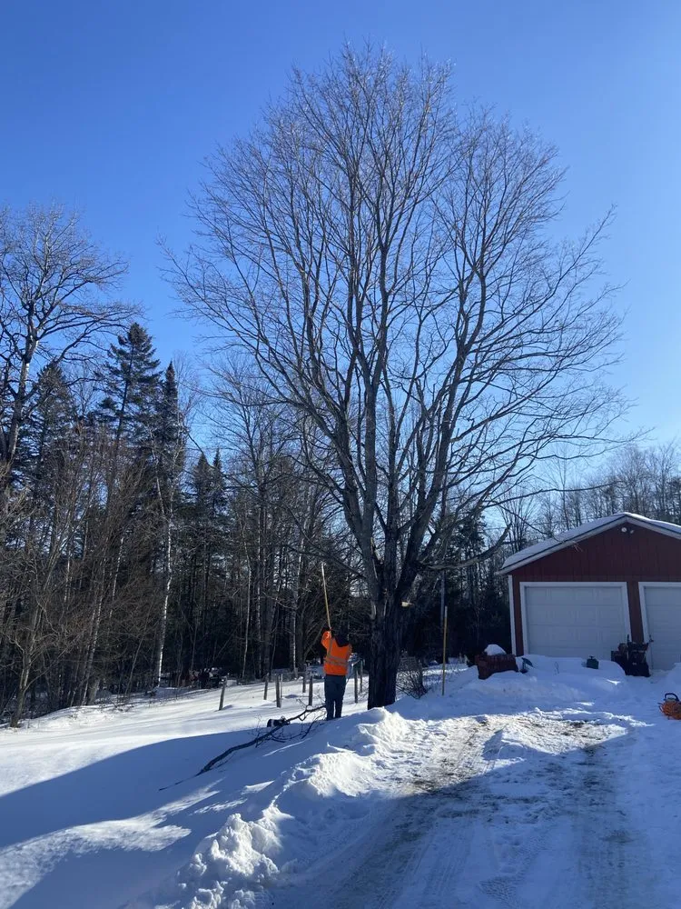 Reliable lawn mowing service with custom design in Orleans, VT by NEK Tree Workz