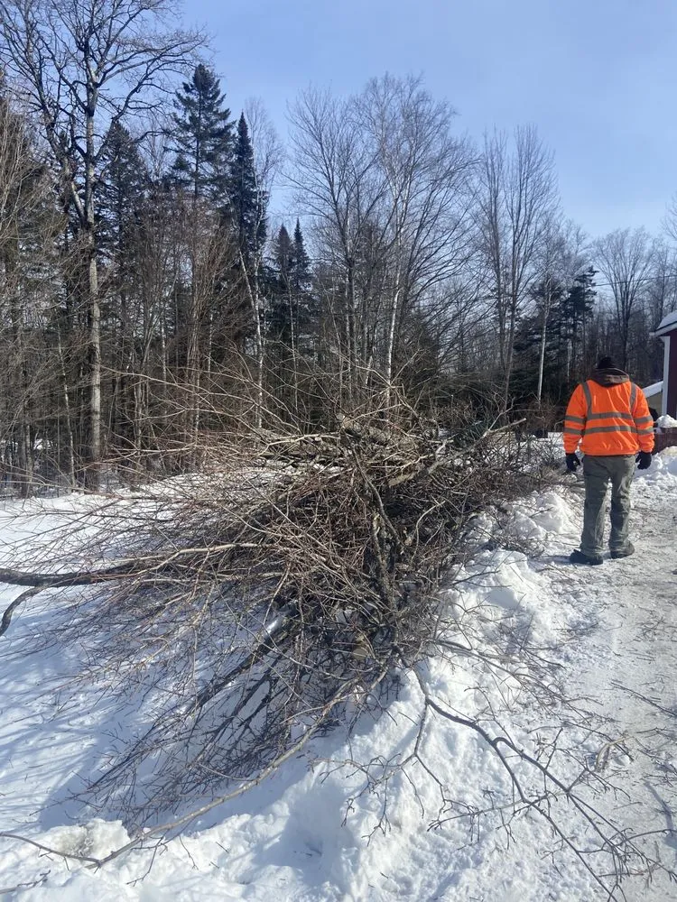Reliable outdoor landscaping for year-round maintenance across Orleans, VT - NEK Tree Workz