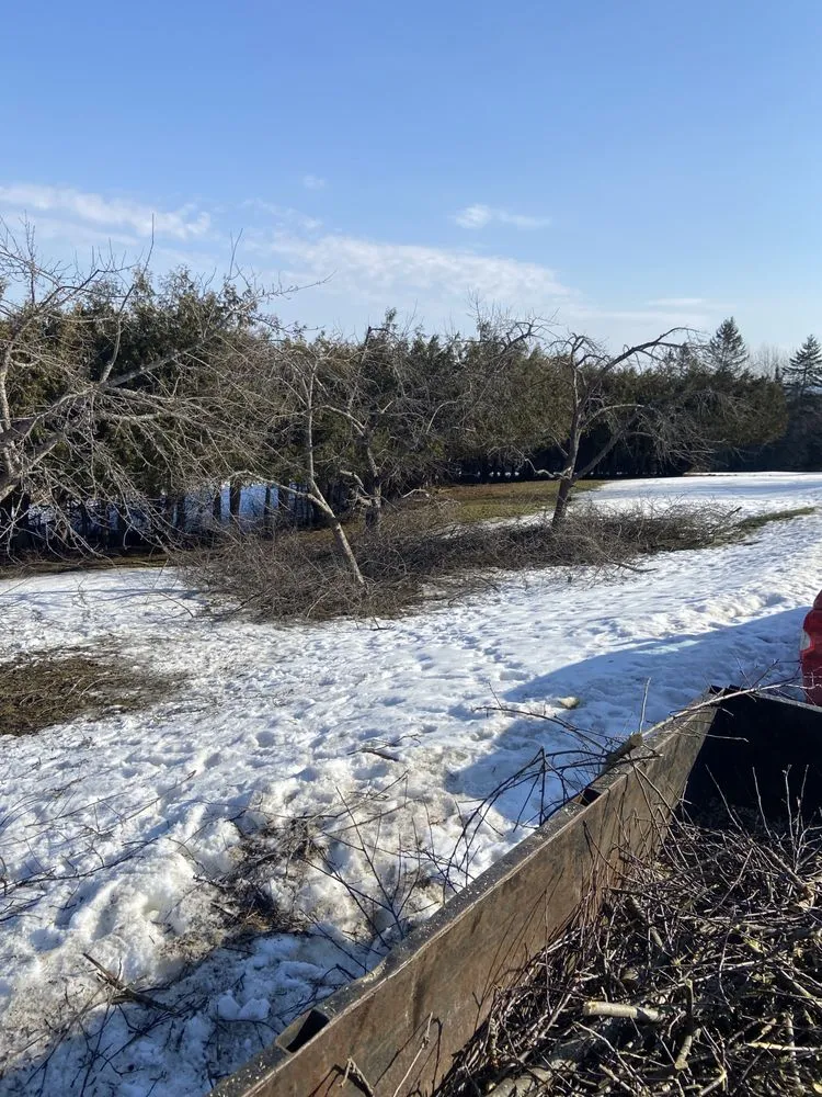 Expert residential landscaping experts serving Orleans, VT - NEK Tree Workz