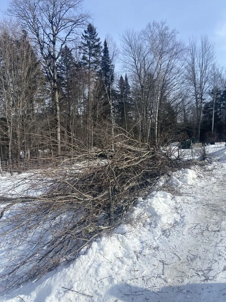 Reliable yard maintenance in Orleans, VT by NEK Tree Workz