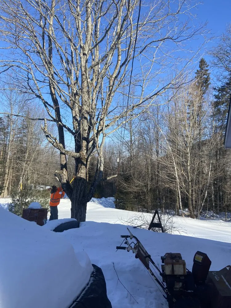 Expert outdoor landscaping in Orleans, VT by NEK Tree Workz