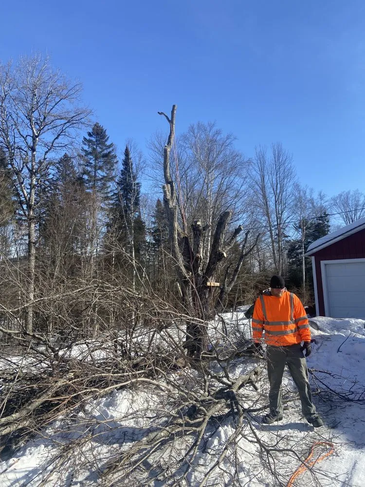 Custom residential landscaping in Orleans, VT by NEK Tree Workz