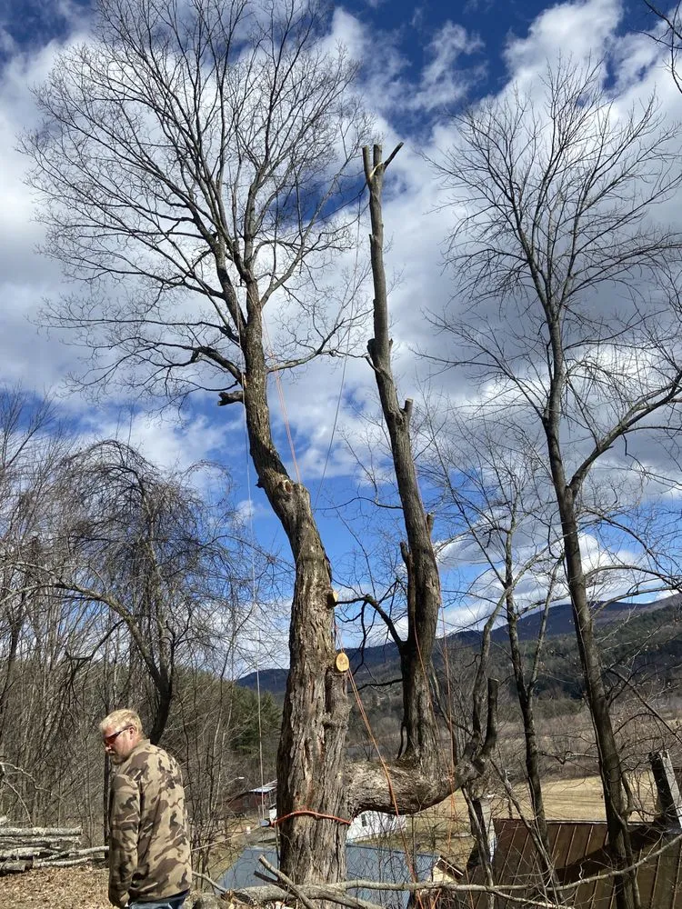 Reliable yard maintenance experts serving Orleans, VT - NEK Tree Workz