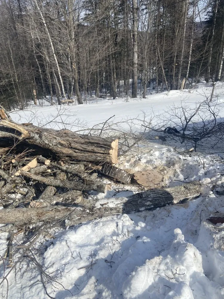Local lawn care service in Orleans, VT - NEK Tree Workz