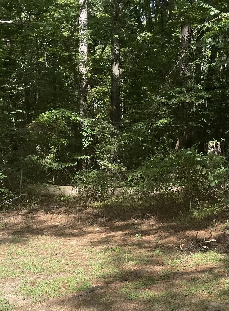 Affordable garden landscaping experts serving West Monroe, LA - Nela Remodeling Pros