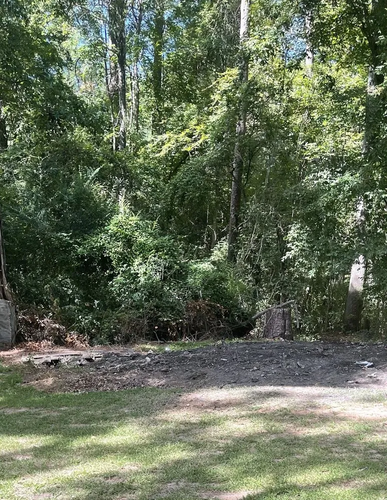 Professional garden landscaping in West Monroe, LA by Nela Remodeling Pros