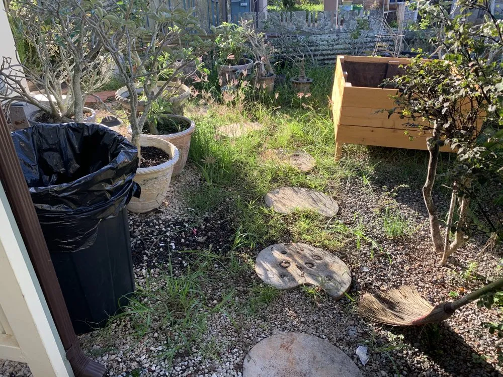 Expert yard cleanup service in Mililani, HI by Nell’s Yard Services