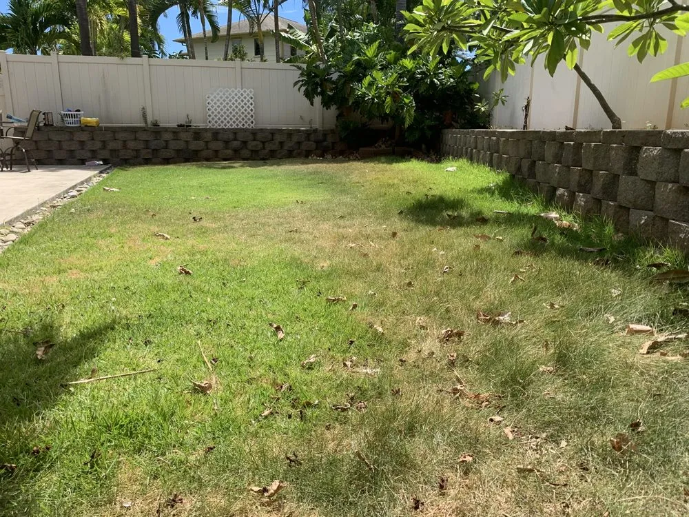 Custom yard cleanup service for year-round maintenance across Mililani, HI - Nell’s Yard Services