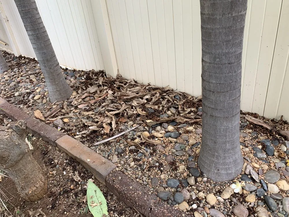Affordable lawn mowing service with custom design in Mililani, HI by Nell’s Yard Services