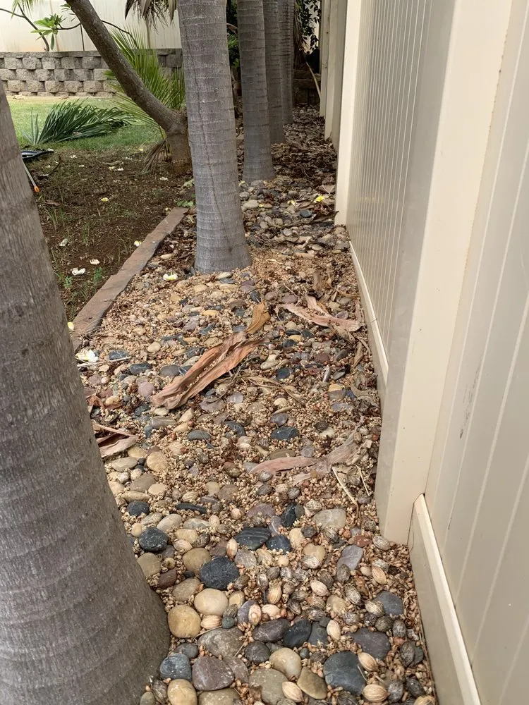 Reliable lawn mowing service for residential properties across Mililani, HI - Nell’s Yard Services