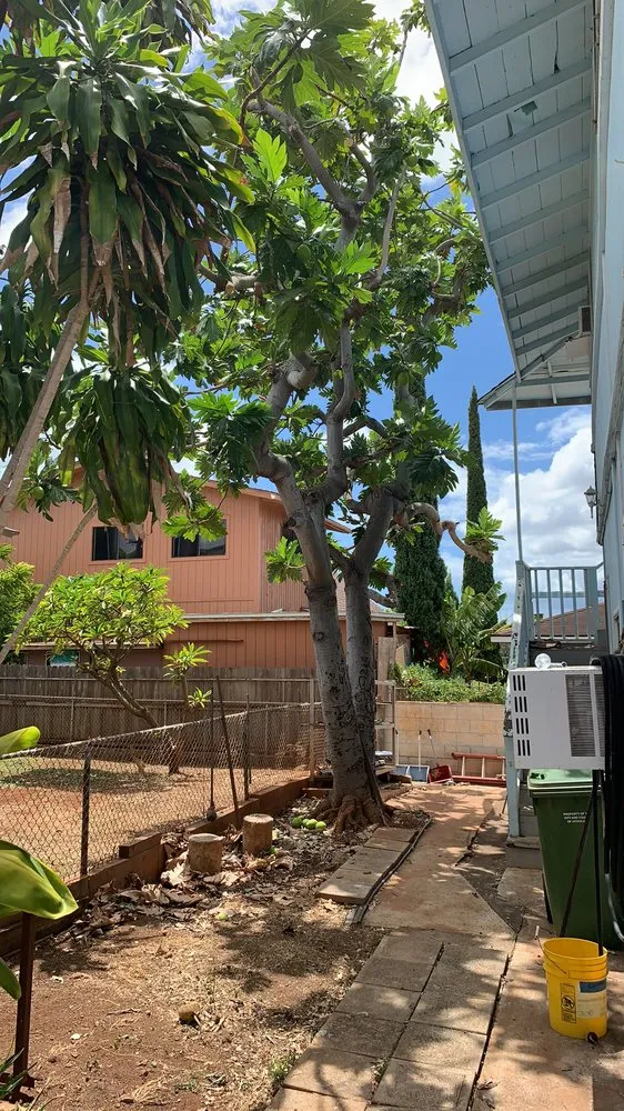 Professional landscaping services in Mililani, HI - Nell’s Yard Services
