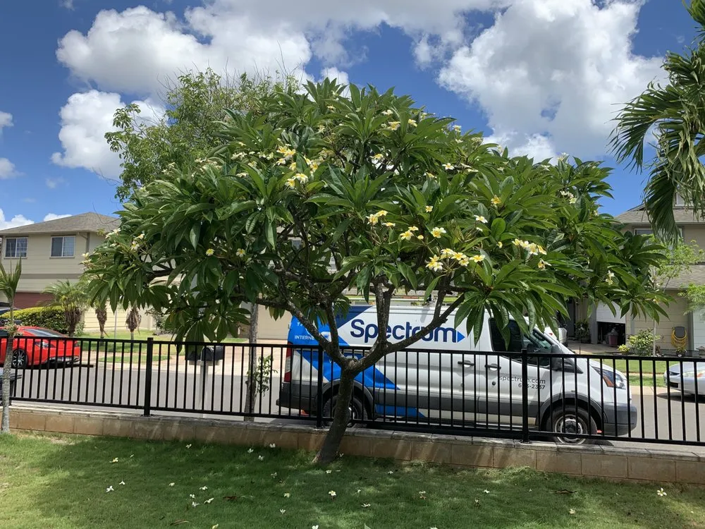 Professional yard cleanup service experts serving Mililani, HI - Nell’s Yard Services