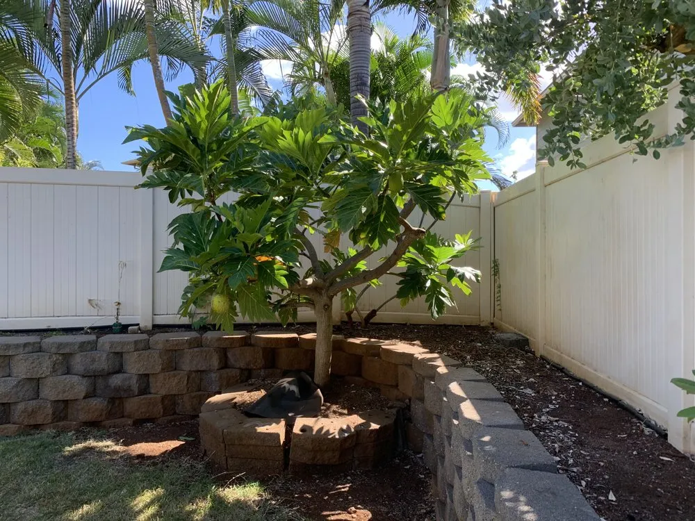 Top-rated lawn mowing service experts serving Mililani, HI - Nell’s Yard Services