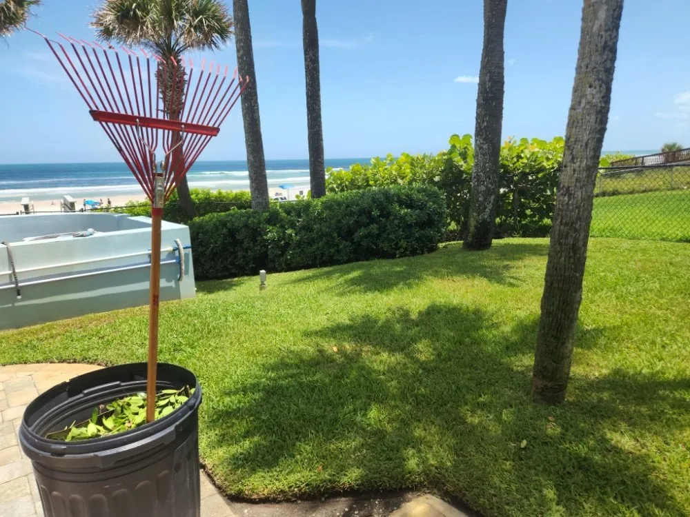 Trusted outdoor landscaping for year-round maintenance across Ormond Beach, FL - Nellys Landscape Services