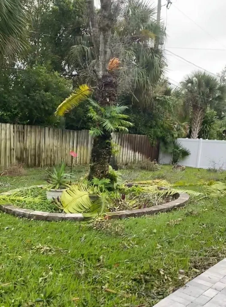 Professional landscaping services for year-round maintenance in Ormond Beach, FL by Nellys Landscape Services