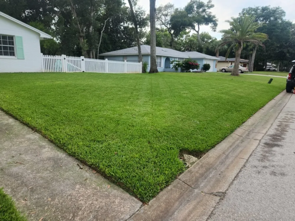 Top-rated lawn care service in Ormond Beach, FL by Nellys Landscape Services