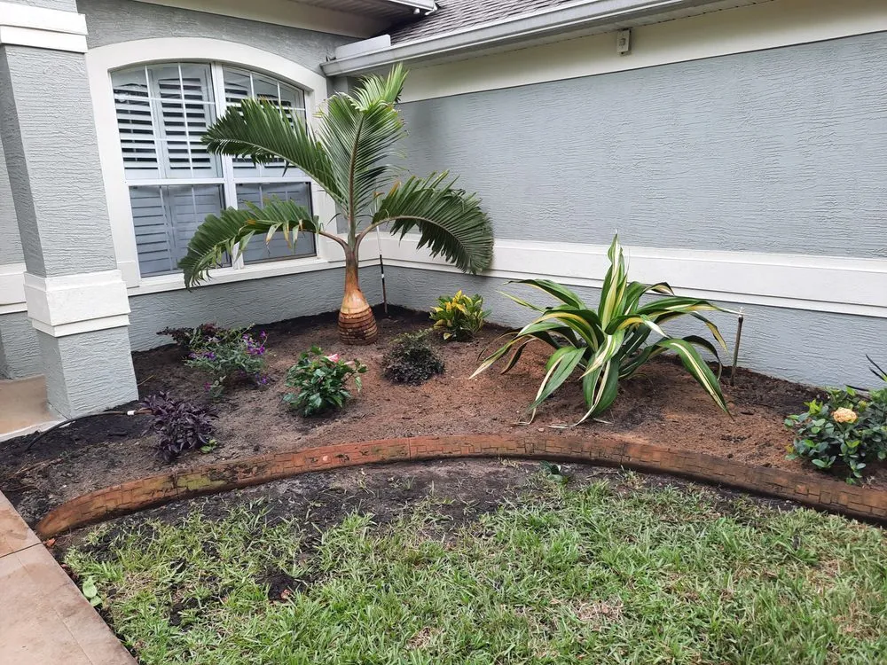Trusted yard cleanup service with custom design in Ormond Beach, FL by Nellys Landscape Services