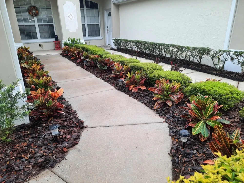Professional outdoor landscaping for residential properties in Ormond Beach, FL by Nellys Landscape Services