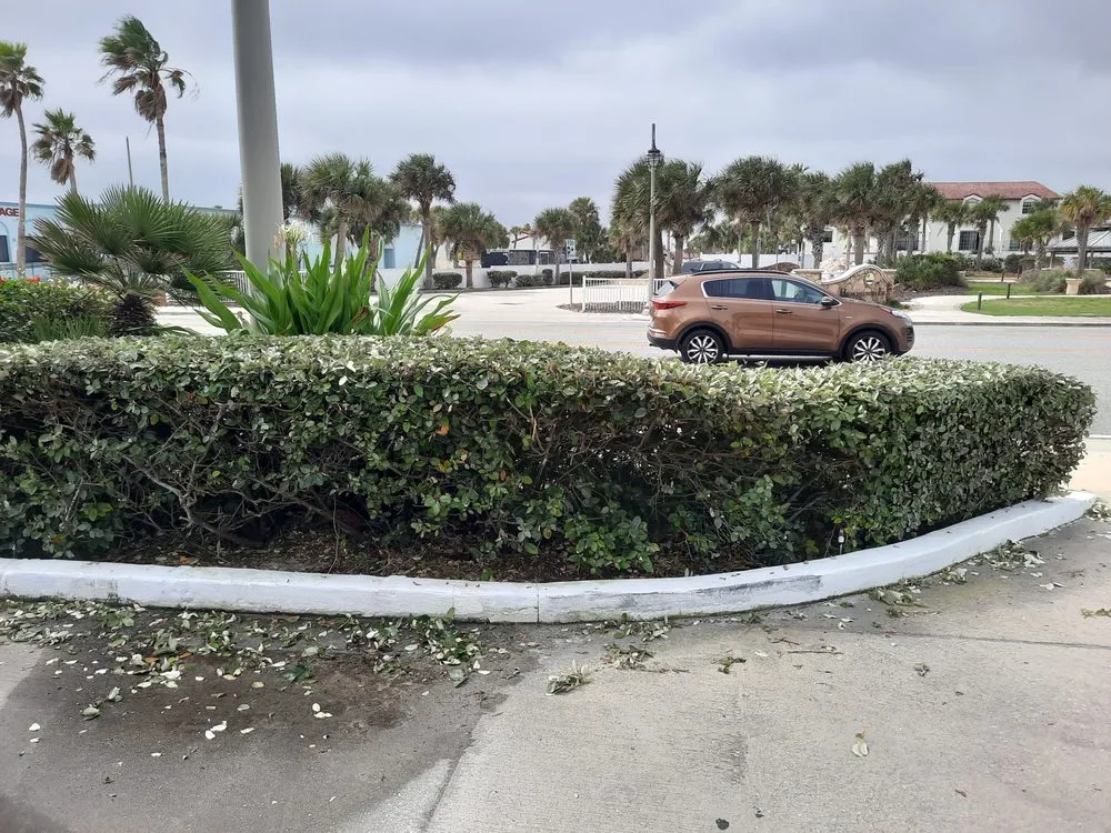 Affordable landscape installation experts serving Ormond Beach, FL - Nellys Landscape Services