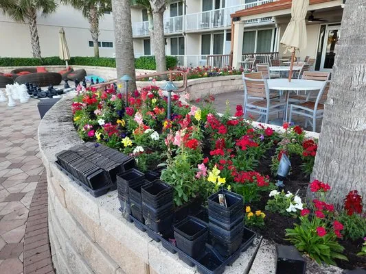 Nellys Landscape Services