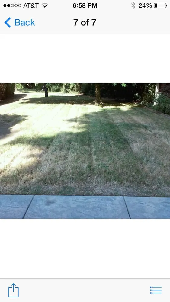 Local yard maintenance for residential properties across Visalia, CA - Nelms Landscape & Sprinkler