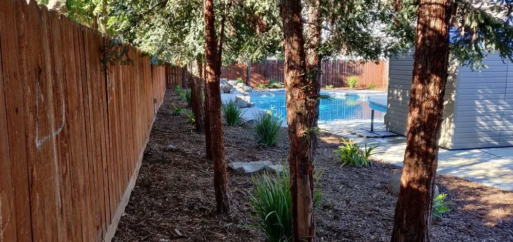 Top-rated yard cleanup service experts serving Visalia, CA - Nelms Landscape & Sprinkler
