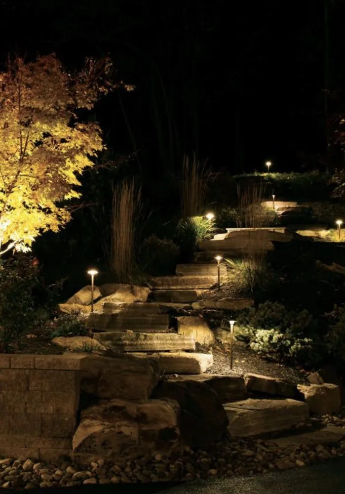 Affordable yard cleanup service in Visalia, CA by Nelms Landscape & Sprinkler