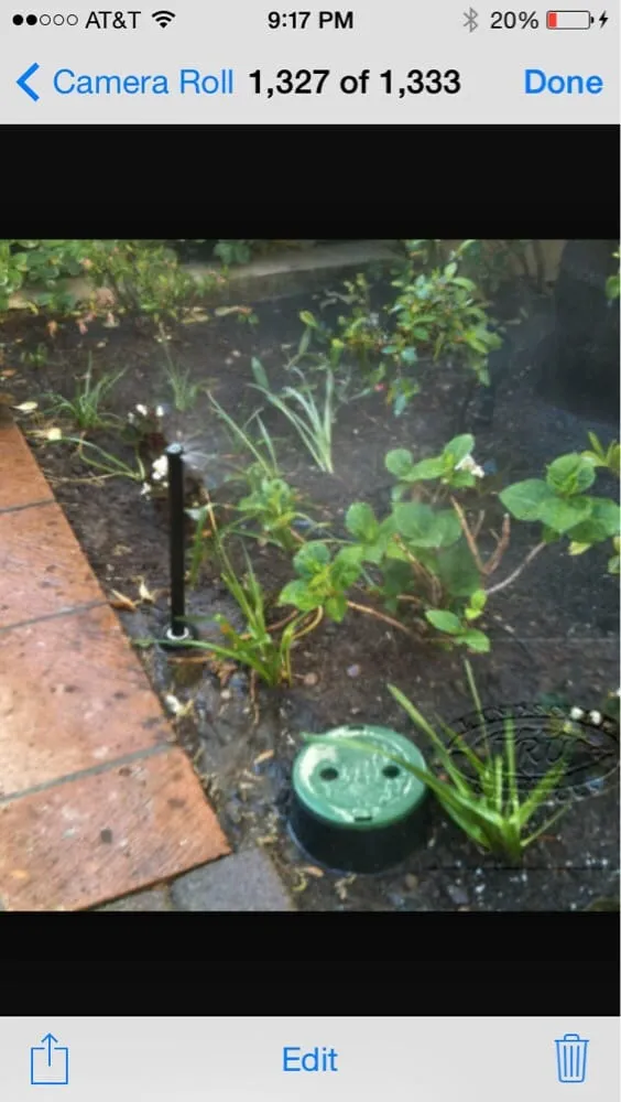 Top-rated lawn mowing service for outdoor upgrades in Visalia, CA by Nelms Landscape & Sprinkler