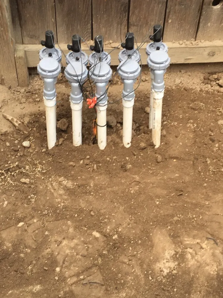 Reliable yard maintenance in Visalia, CA - Nelms Landscape & Sprinkler