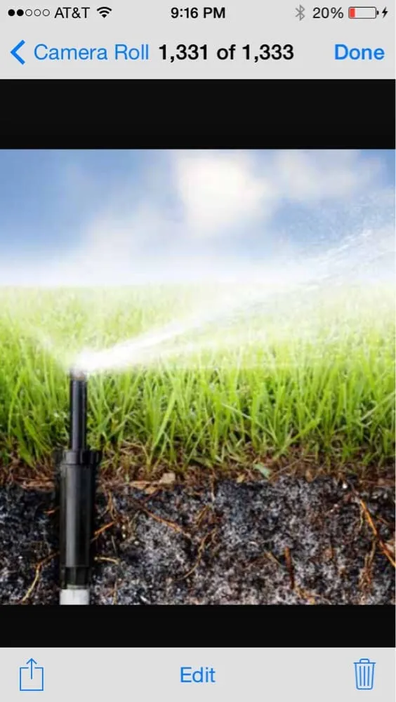Local lawn care service experts serving Visalia, CA - Nelms Landscape & Sprinkler