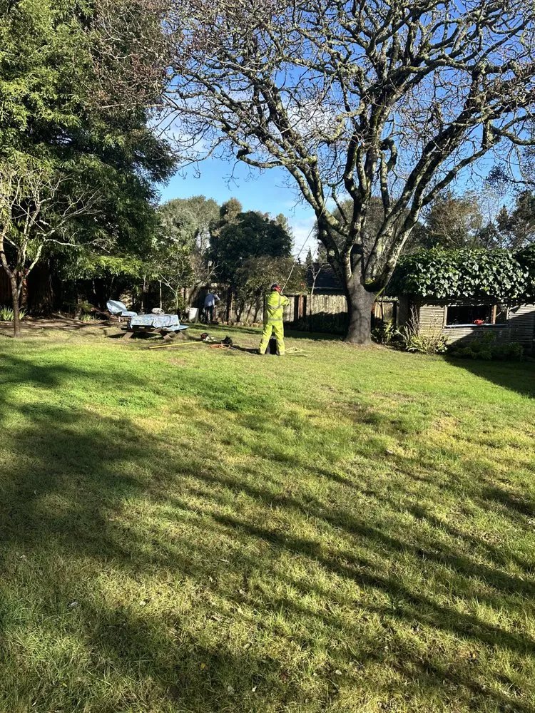 Trusted landscaping services for year-round maintenance across Santa Rosa, CA - Nelson and Family Landscaping