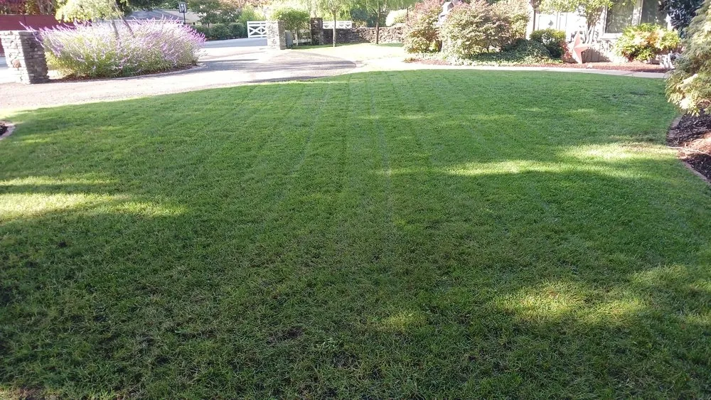 Affordable lawn care service experts serving Santa Rosa, CA - Nelson and Family Landscaping