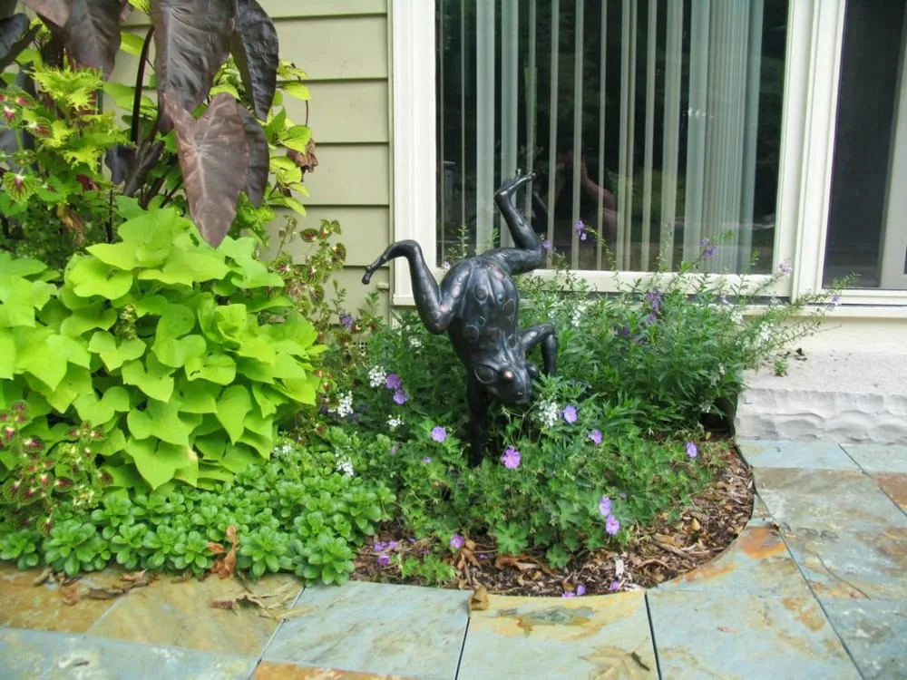 Expert yard cleanup service in Aurora, IL - Nelson Design Associates