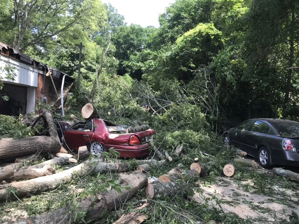 Trusted landscape design for beautiful yards across Warrior, AL - Nelson Family Lawn Care