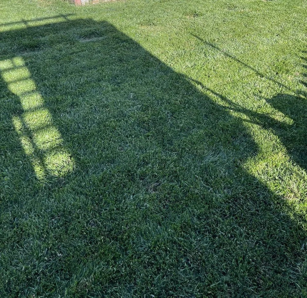 Custom yard maintenance for beautiful yards across Wilton, CA - Nelson Landscape Management