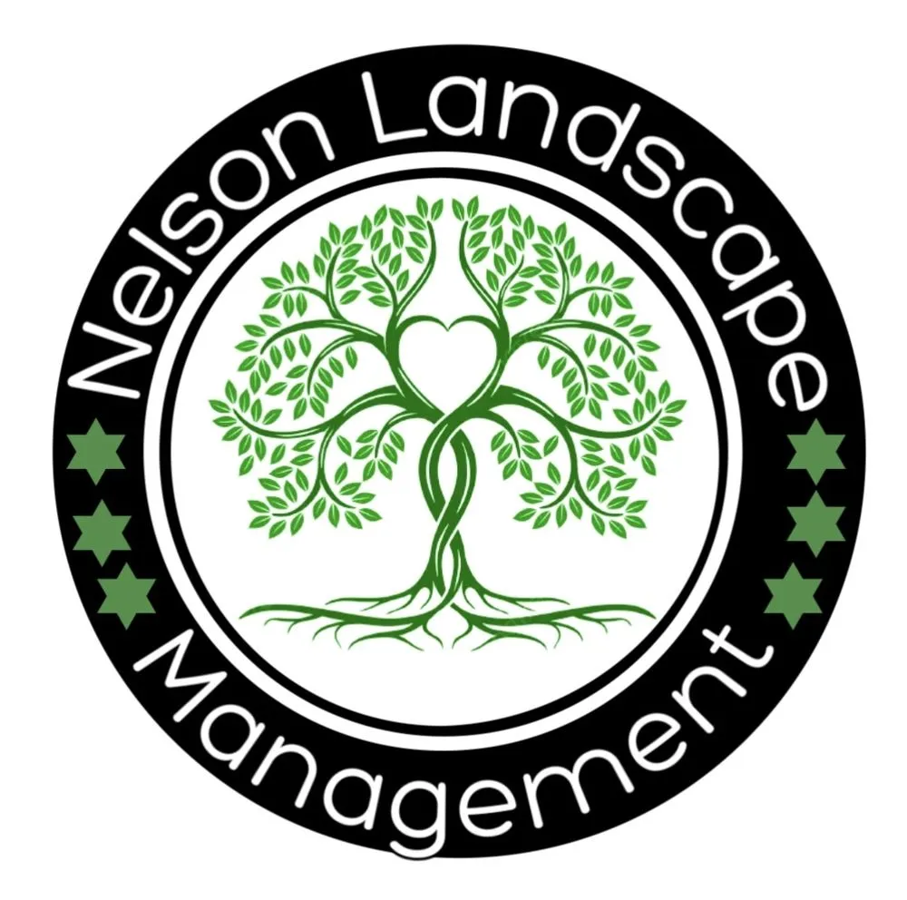Reliable landscape design with custom design in Wilton, CA by Nelson Landscape Management